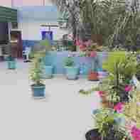 elupaay-terrasse-04